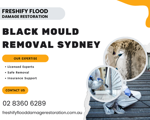 black-mould-removal-sydney-licensed-experts
