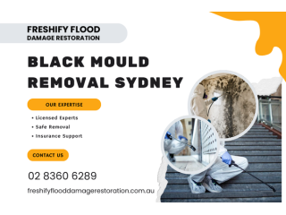 black-mould-removal-sydney-licensed-experts-small-0