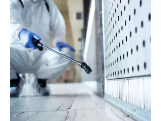 black-mould-removal-sydney-licensed-experts-small-1