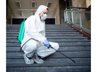 black-mould-removal-sydney-licensed-experts-small-3