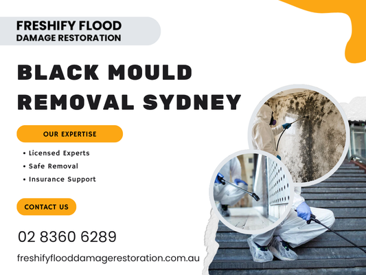 black-mould-removal-sydney-licensed-experts