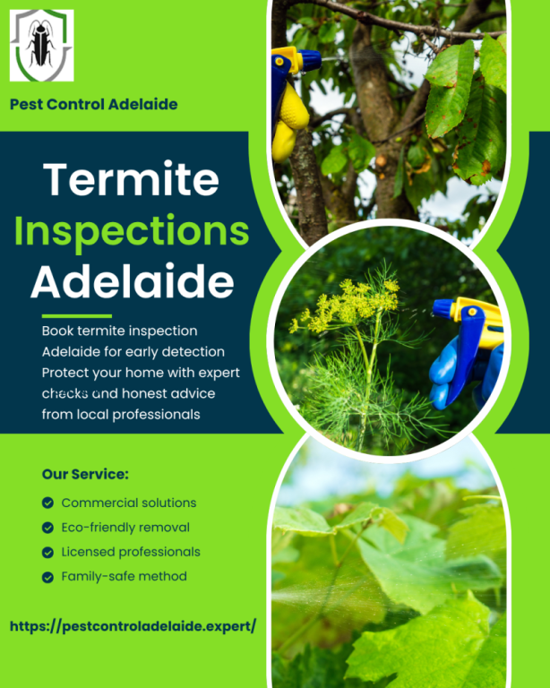 termite-inspections-adelaide-thorough-reliable-big-0