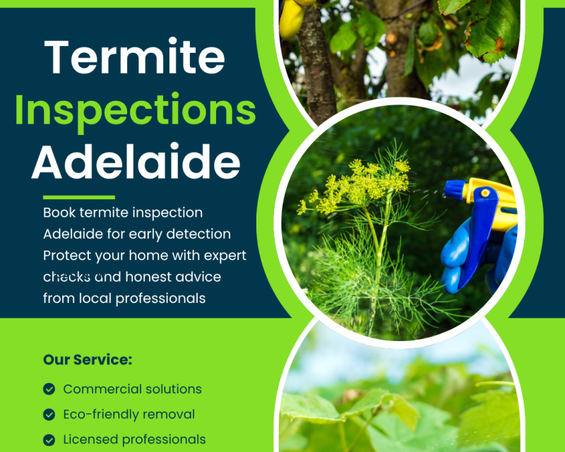 termite-inspections-adelaide-thorough-reliable