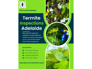 termite-inspections-adelaide-thorough-reliable-small-0