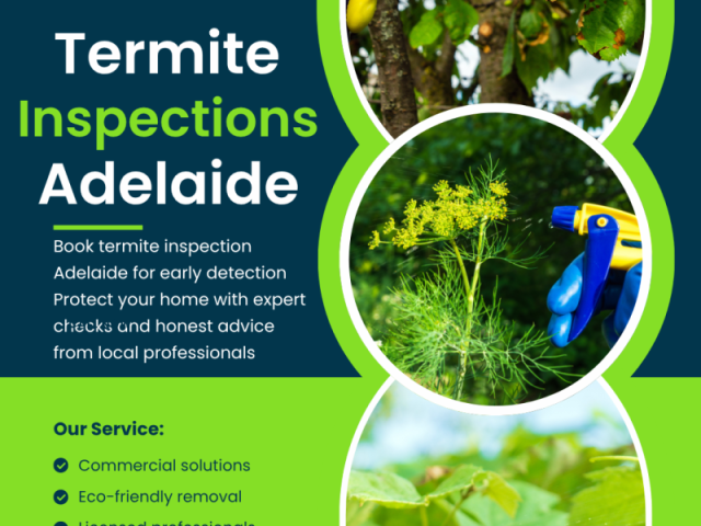 termite-inspections-adelaide-thorough-reliable
