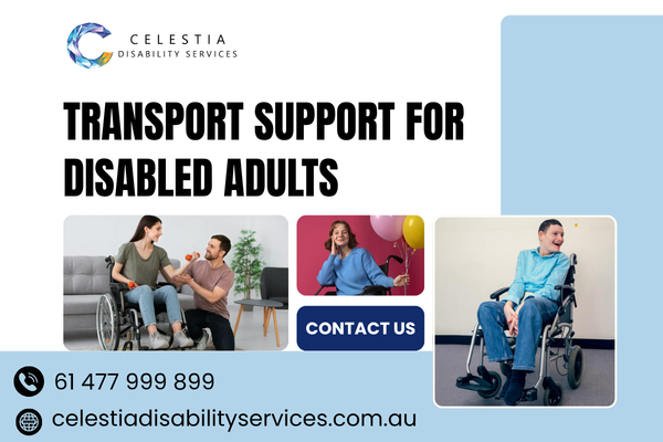 need-safer-daily-travel-transport-support-for-disabled-adults-big-0