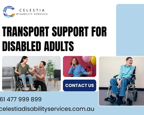 need-safer-daily-travel-transport-support-for-disabled-adults