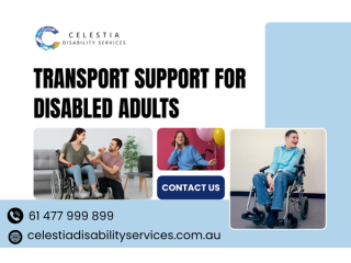 need-safer-daily-travel-transport-support-for-disabled-adults-small-0
