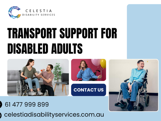 need-safer-daily-travel-transport-support-for-disabled-adults