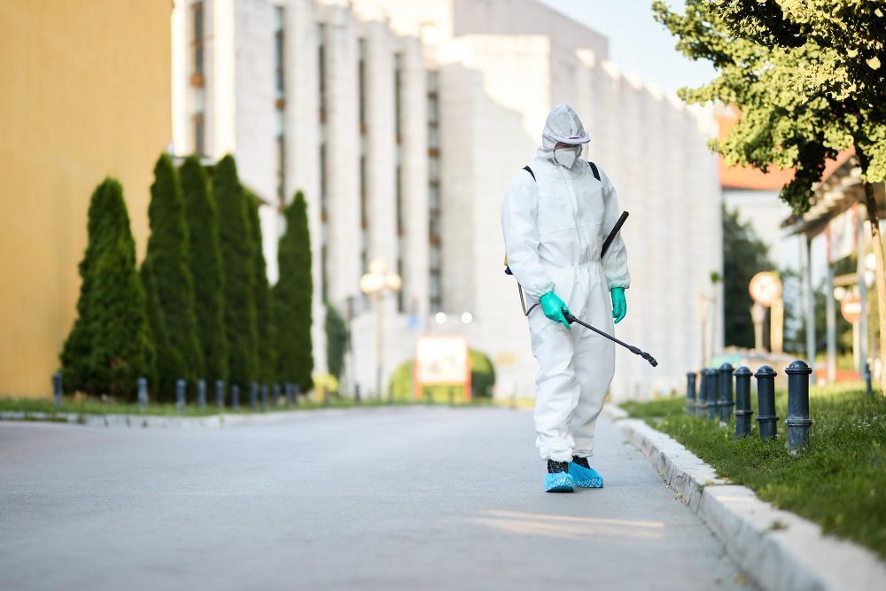 termite-treatment-gold-coast-reliable-protection-for-homes-big-0