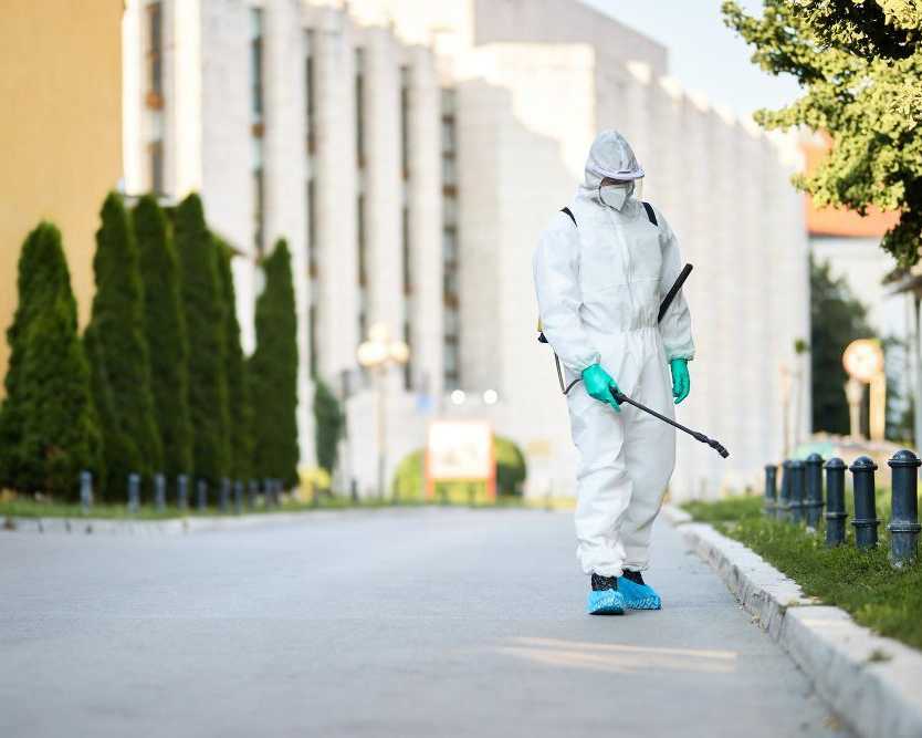 termite-treatment-gold-coast-reliable-protection-for-homes