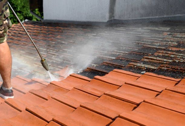 ignoring-roof-stains-can-cost-you-more-than-expected-today-big-0