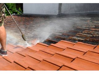 ignoring-roof-stains-can-cost-you-more-than-expected-today-small-0