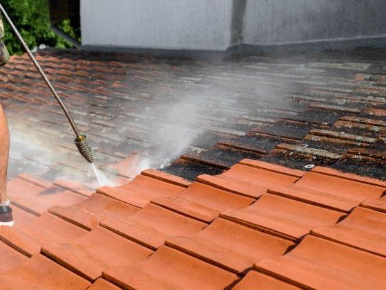 ignoring-roof-stains-can-cost-you-more-than-expected-today