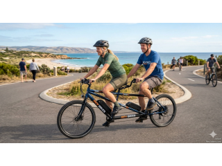 electric-trikes-rev-bikes-small-0