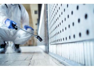 pest-control-gold-coast-reliable-solutions-for-homes-small-0