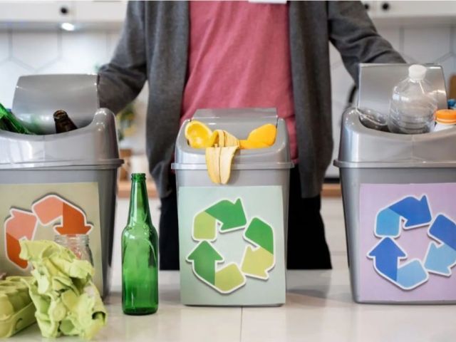 waste-management-consultant