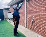 247-pest-control-melbourne-emergency-pest-removal-anytime
