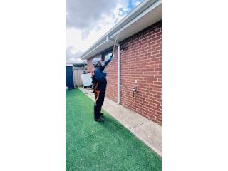 247-pest-control-melbourne-emergency-pest-removal-anytime-small-0