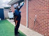 247-pest-control-melbourne-emergency-pest-removal-anytime