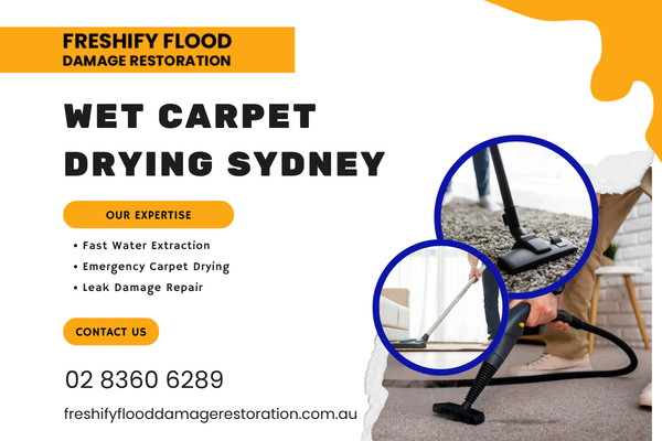 wet-carpet-drying-sydney-big-0