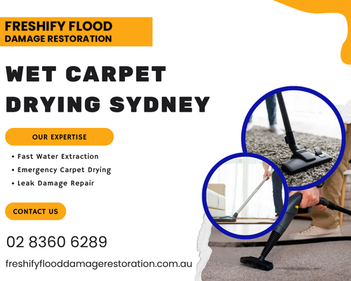 wet-carpet-drying-sydney