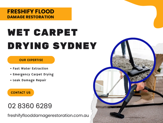 wet-carpet-drying-sydney