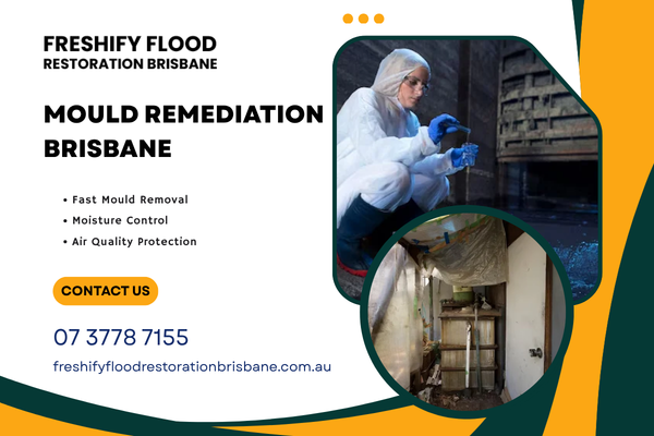 mould-remediation-brisbane-after-water-damage-big-0
