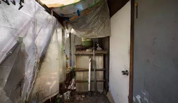 mould-remediation-brisbane-after-water-damage-big-2