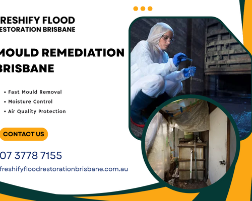 mould-remediation-brisbane-after-water-damage