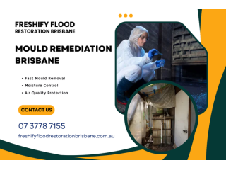 mould-remediation-brisbane-after-water-damage-small-0