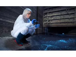 mould-remediation-brisbane-after-water-damage-small-1