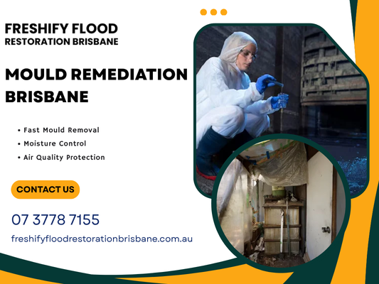 mould-remediation-brisbane-after-water-damage