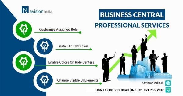 grow-business-via-business-central-professional-services-big-0