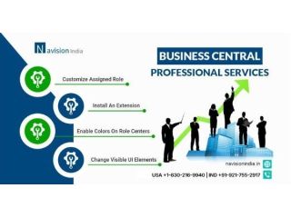 grow-business-via-business-central-professional-services-small-0