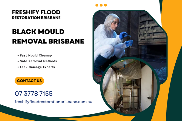 black-mould-removal-brisbane-services-big-0