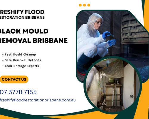 black-mould-removal-brisbane-services