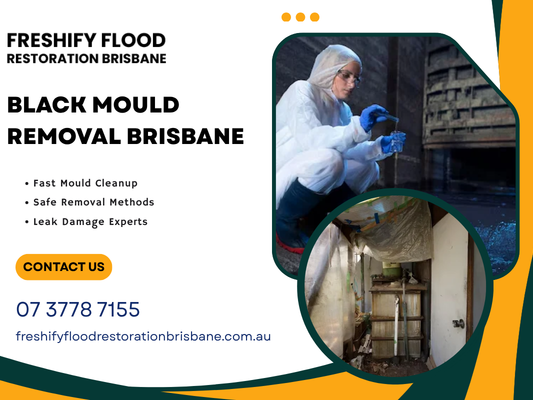 black-mould-removal-brisbane-services