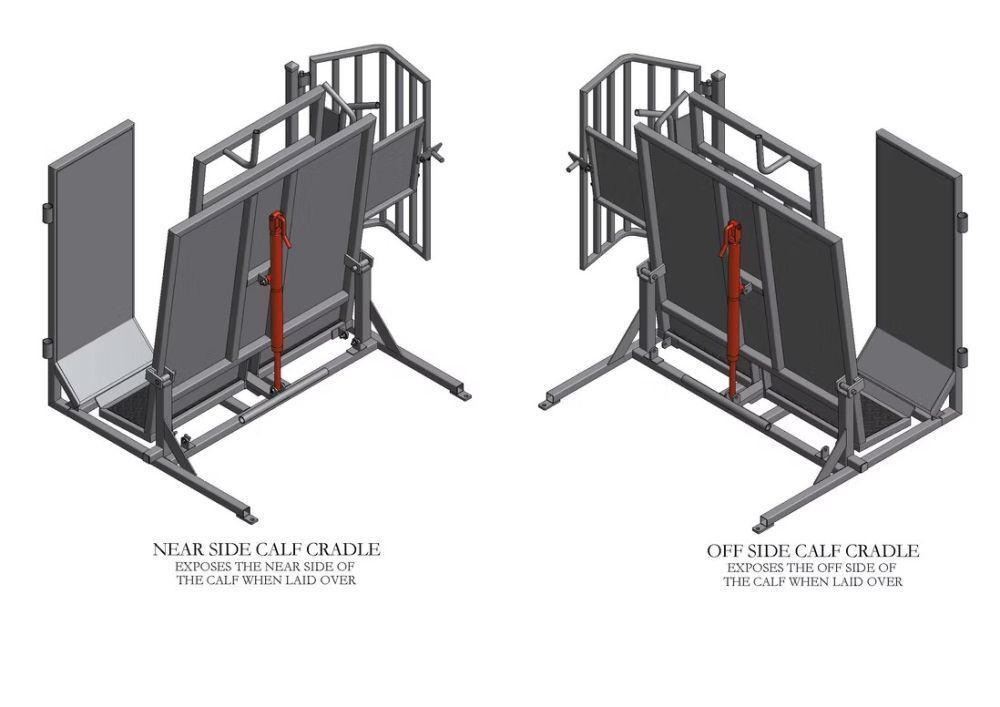 calf-marking-branding-cradle-rpm-livestock-equipment-big-0
