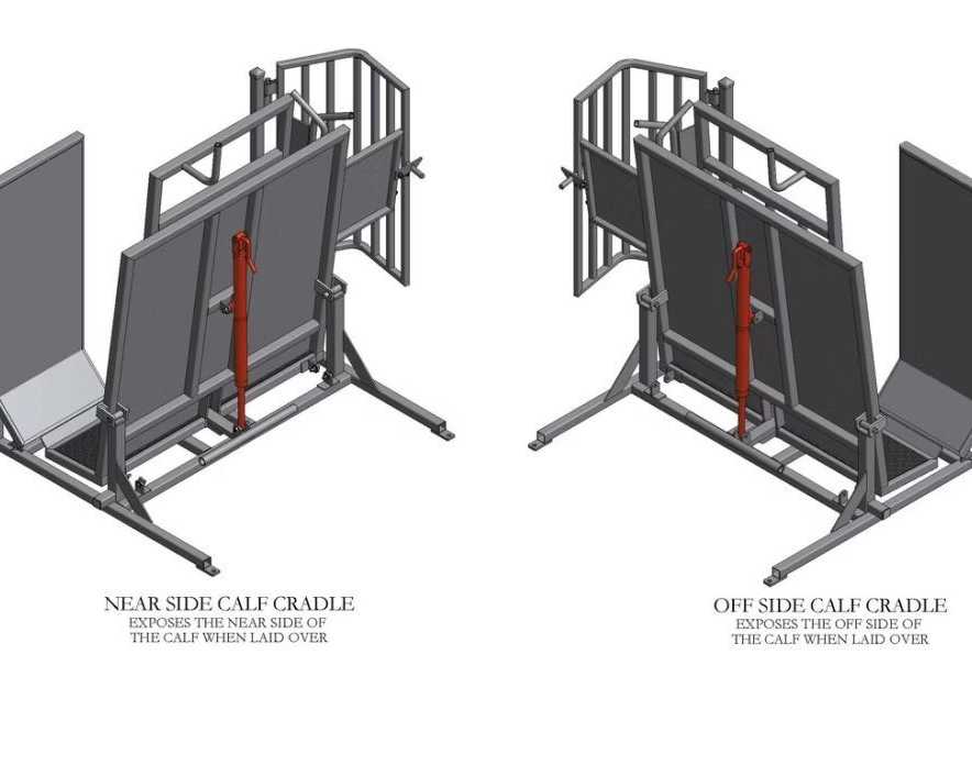 calf-marking-branding-cradle-rpm-livestock-equipment