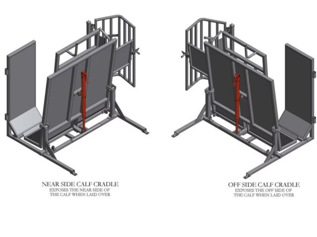 calf-marking-branding-cradle-rpm-livestock-equipment
