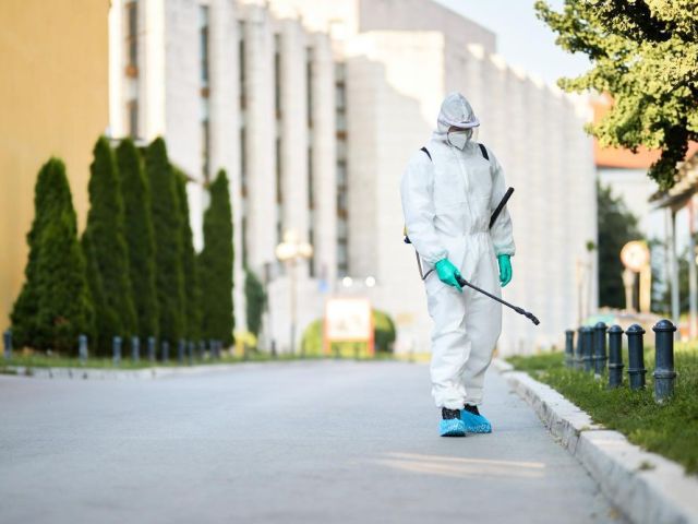 end-of-lease-pest-control