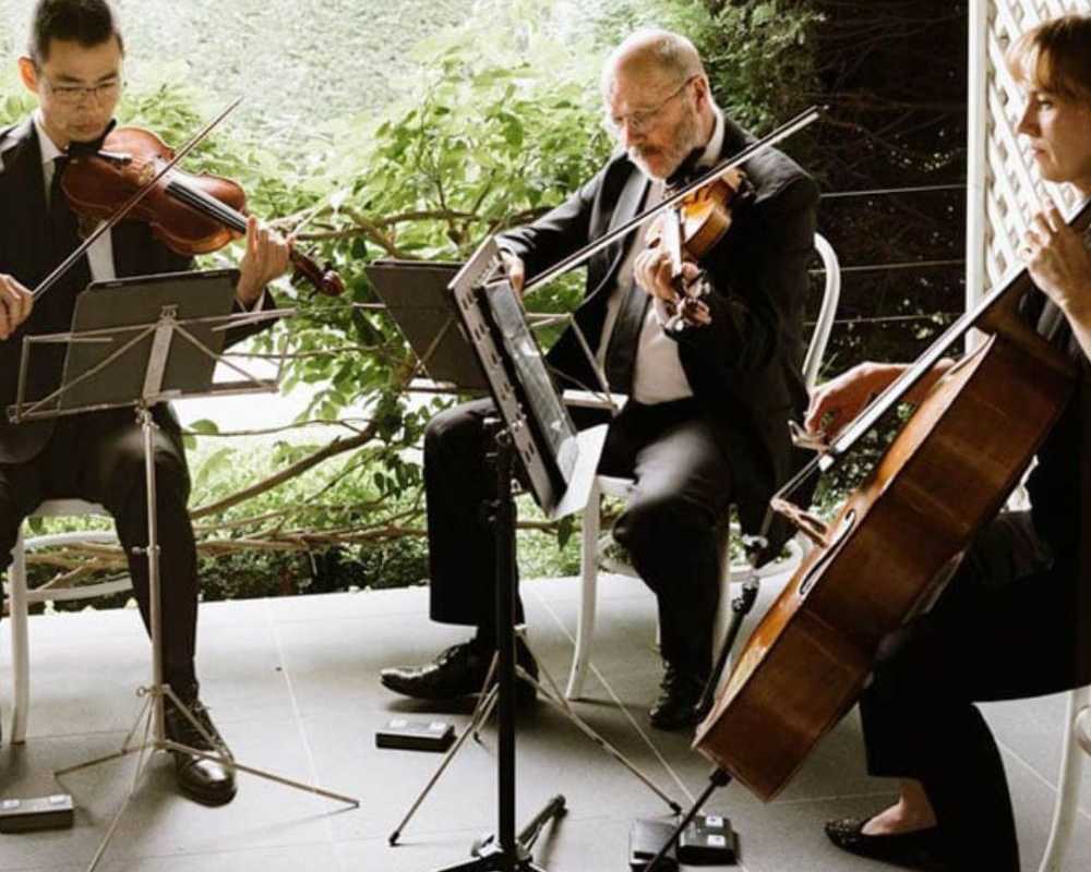 hire-a-premium-string-quartet-brisbane-for-weddings-and-events