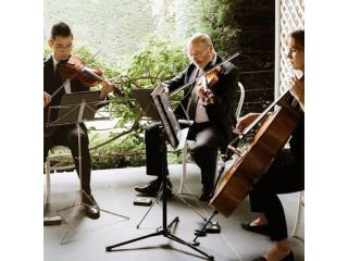 hire-a-premium-string-quartet-brisbane-for-weddings-and-events-small-0