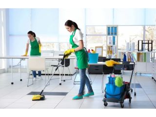 switch-to-expert-office-cleaning-before-problems-grow-small-3