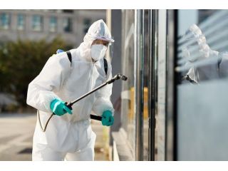 eco-friendly-mosquito-control-solutions-in-sydney-small-0