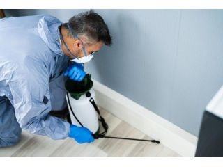 affordable-moth-control-in-sydney-you-can-trust-small-0