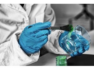 affordable-forensic-cleaning-services-canberra-safe-certified-small-0
