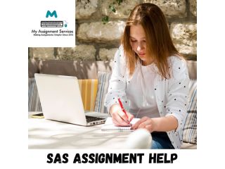 sas-assignment-help-expert-statistical-analysis-support-small-0