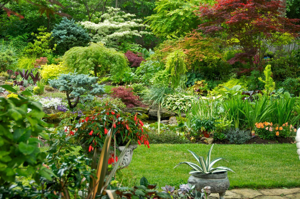 active-landscaping-big-1